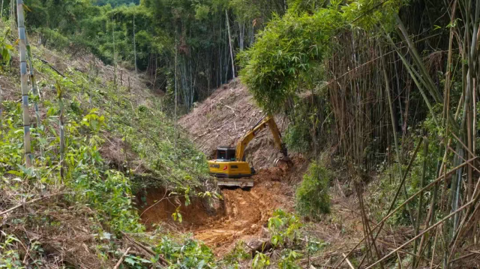 林间“藏龙”，竹海“卧虎”——K8凯发林业挖机广西侠客行